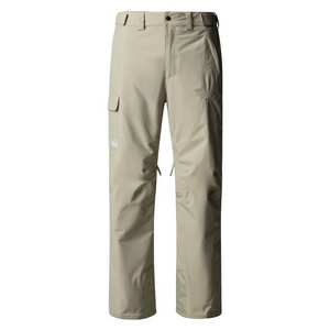 Men's Freedom Insulated Ski Pants - Grey