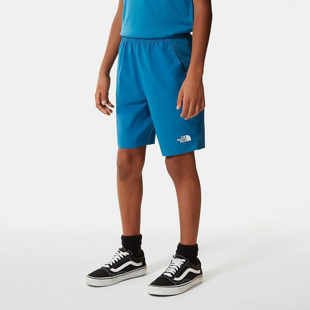 North face reactor on sale shorts