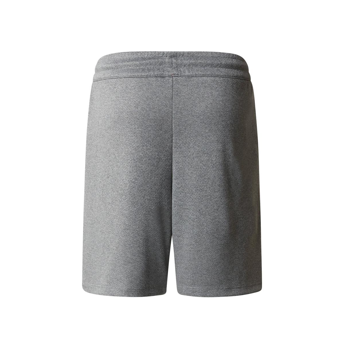 The North Face Kids' Never Stop Shorts - Grey