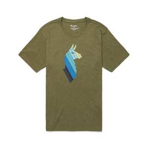 Men's Llama Stripes Organic T-Shirt - Khaki