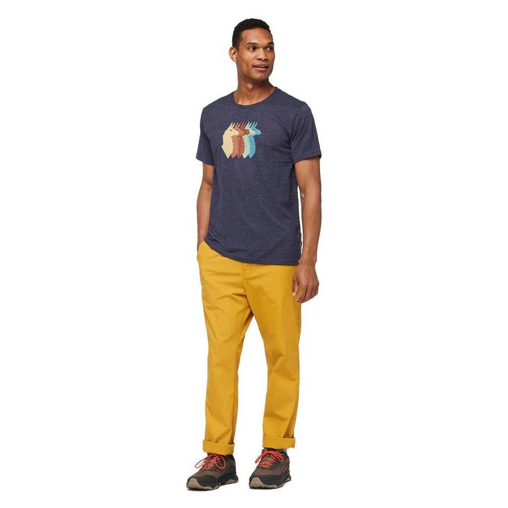 Cotopaxi Men's Llama Sequence Organic T-Shirt - Blue