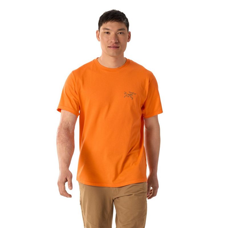 Arc'teryx Men's Kragg SL Cotton Short-Sleeve T-Shirt - Verve