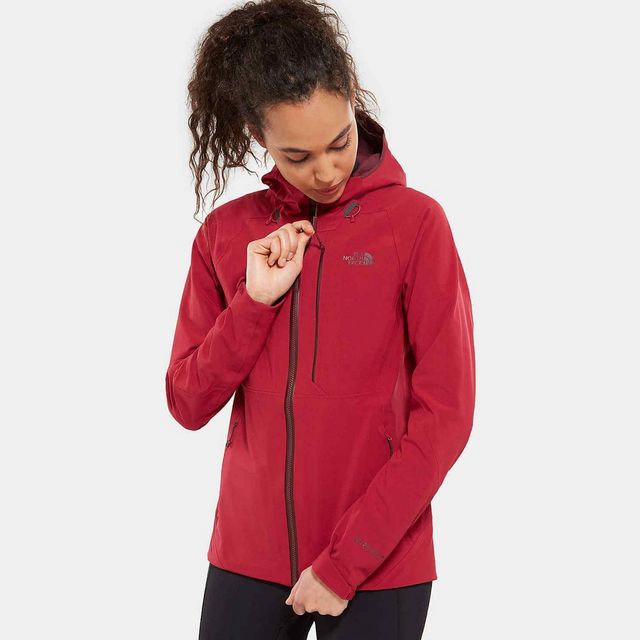 The North Face Women s Apex Flex GTX 2.0 Jacket Tiso