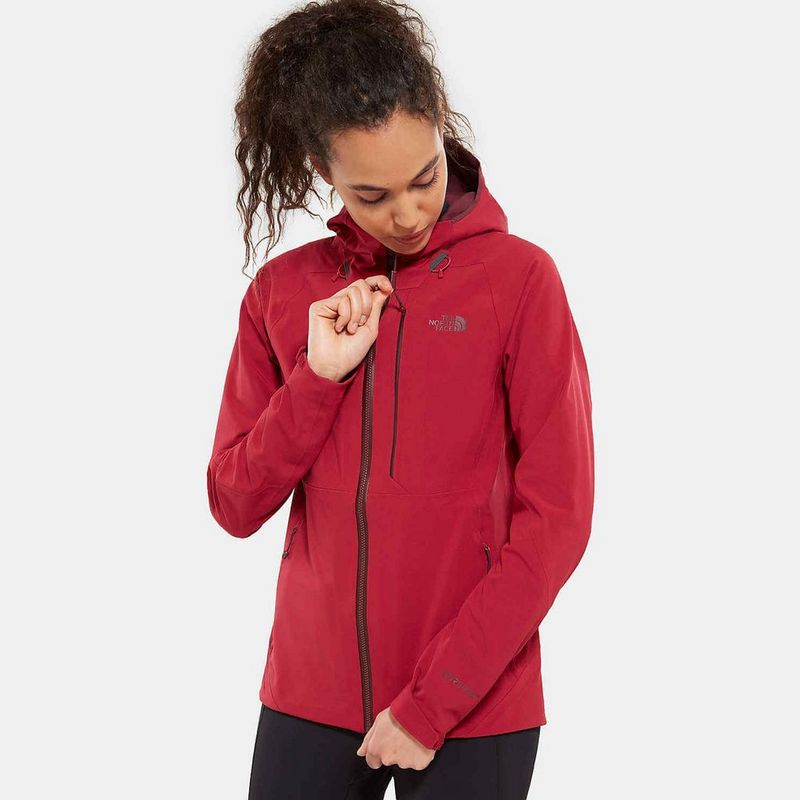 The north face women's apex flex gtx 2.0 jacket sales