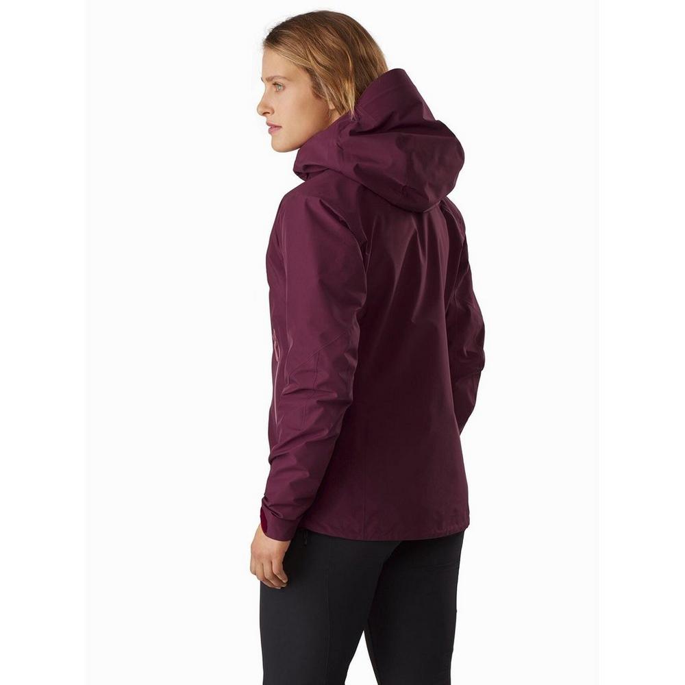 Arcteryx beta fl hotsell