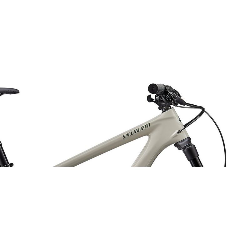 Specialized Enduro Elite 2020