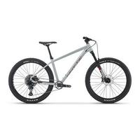  905 - V5 - Mountain Bike - Grey