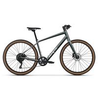  RHeO 2 E-Bike - Gloss Silver