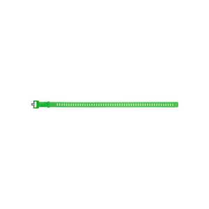 Ski Strap (25") - Green