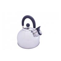  2L Stainless Steel Kettle with Folding Handle - Grey