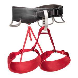 Women's Momentum Harness - Red