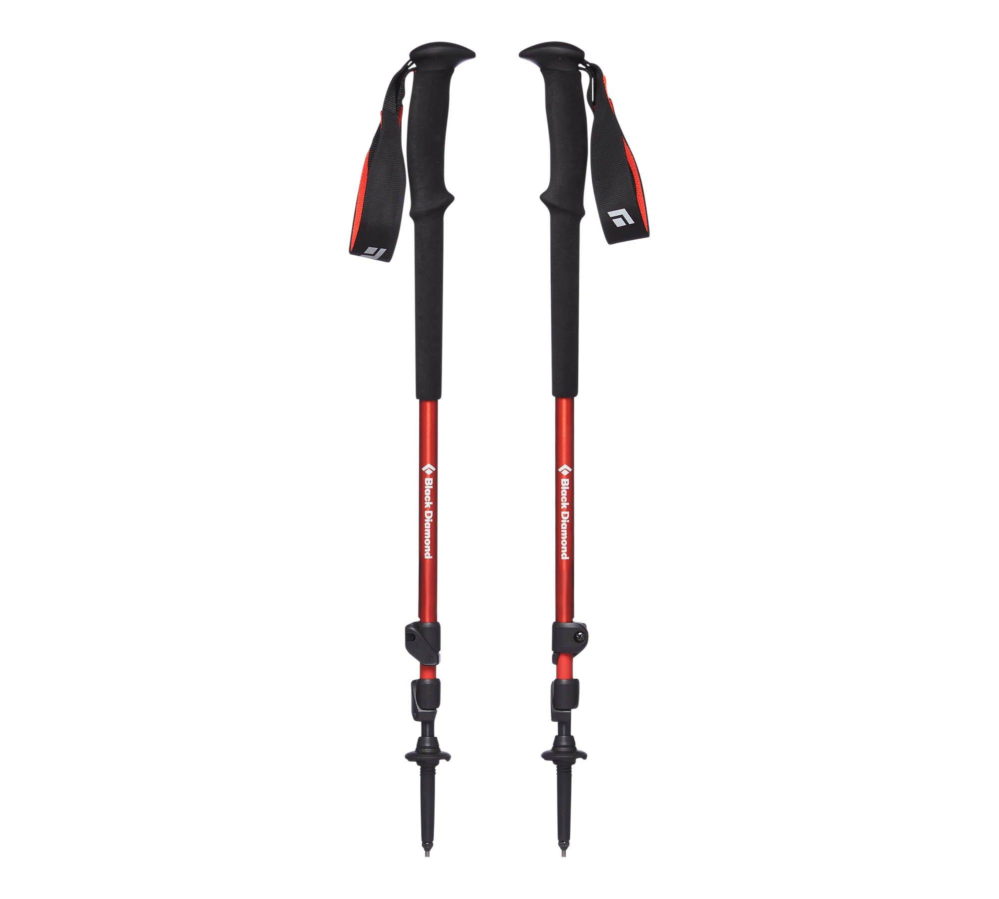 Multi purpose shop trekking pole