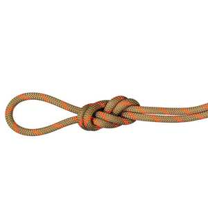 8.0 Alpine Dry 60m Climbing and Mountaineering Rope