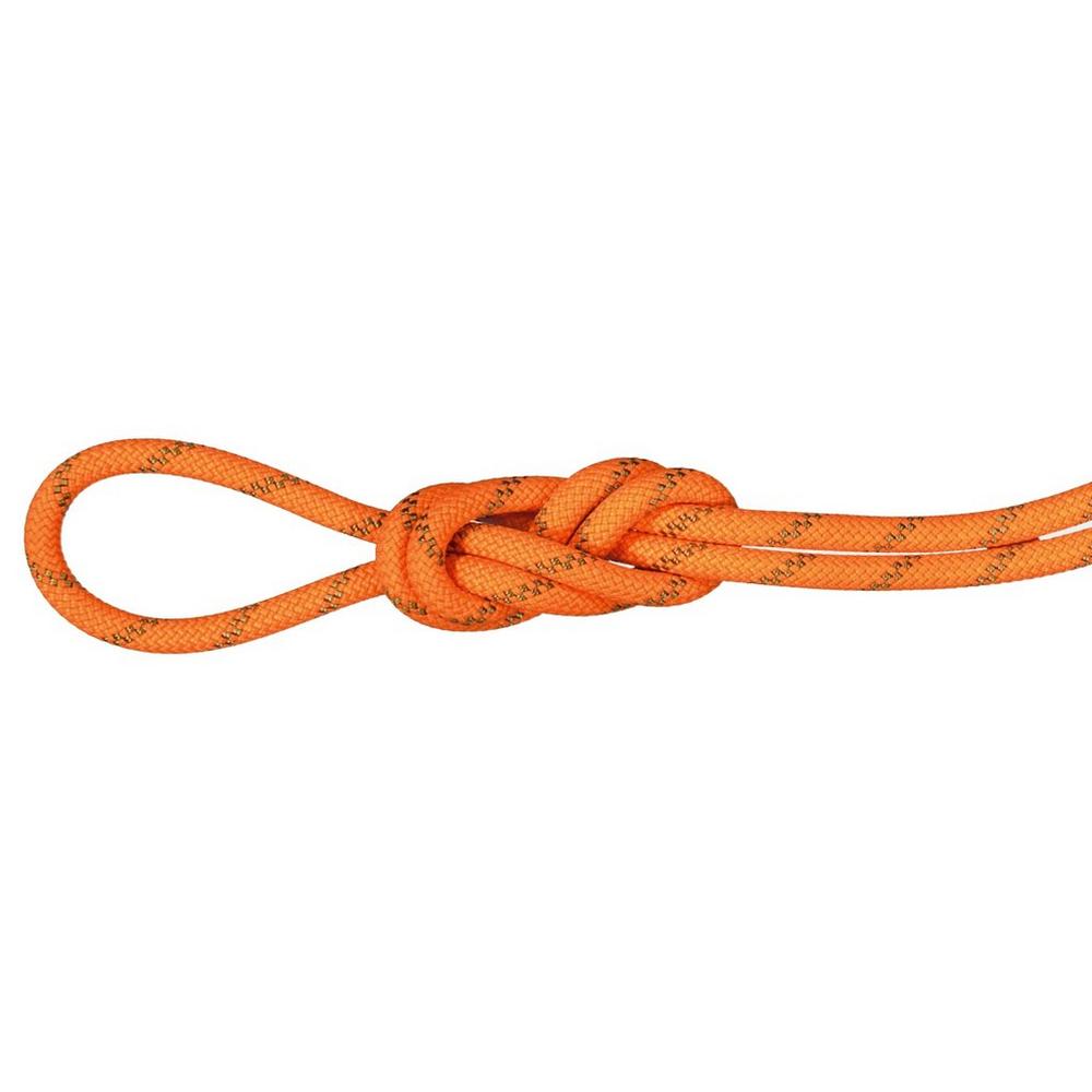 Mammut 8.0 Alpine Dry 60m Climbing and Mountaineering Rope - Orange