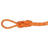  8.0 Alpine Dry 60m Climbing and Mountaineering Rope - Orange