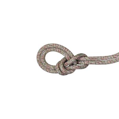 Mammut 9.5 Crag We Care Classic Climbing Rope - 60M