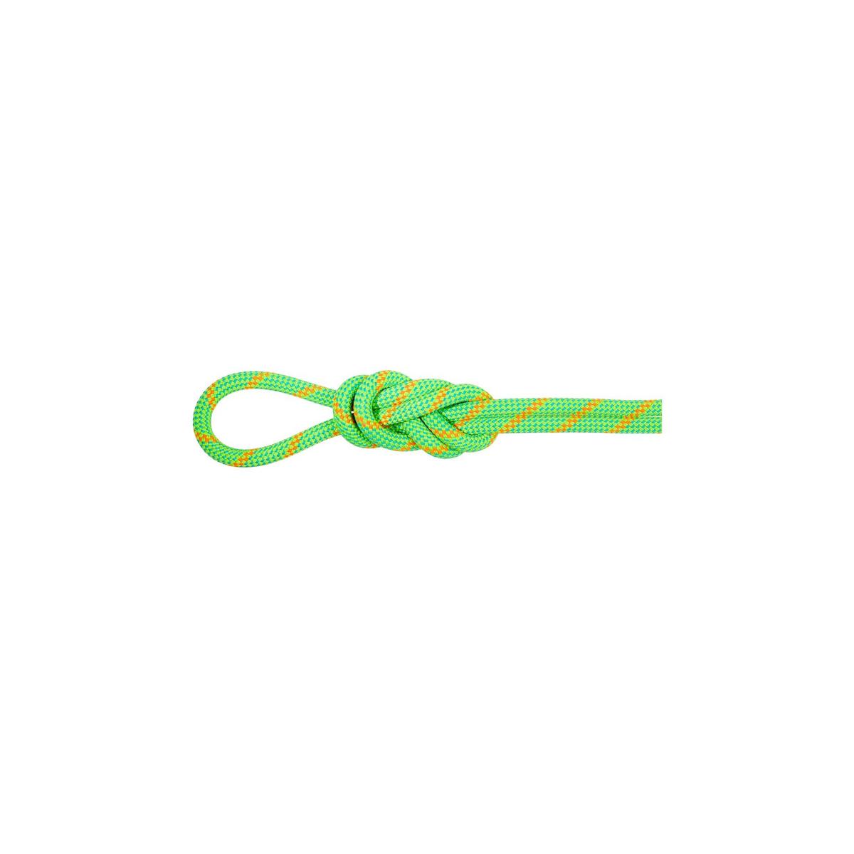 Mammut 8.0 Alpine Eco Dry 60M Climbing and Mountaineering Rope - Green