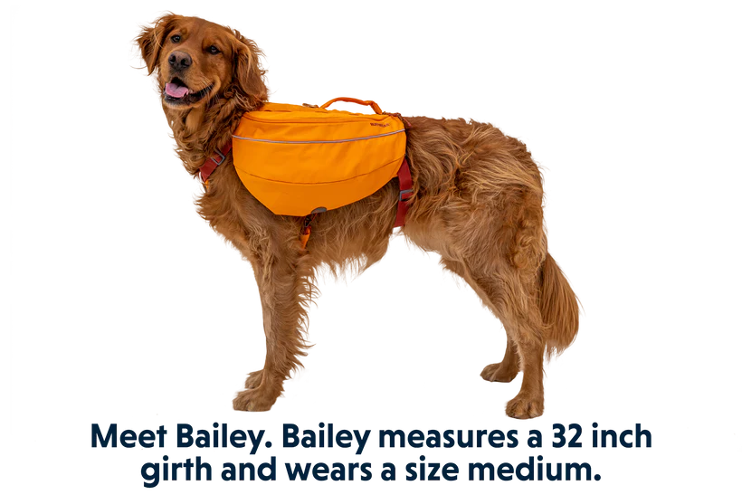 Ruffwear Approach Dog Backpack Walking Gear for Dogs George