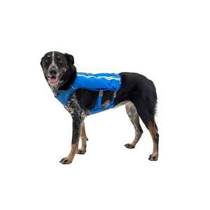 Trail Runner Dog Running Vest - Blue