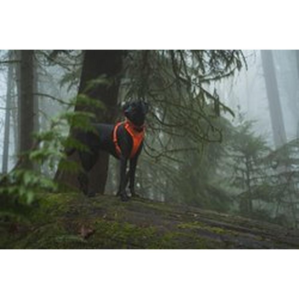 Ruffwear Front Range Harness - Orange