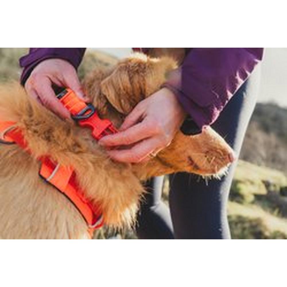 Ruffwear Front Range Collar - Orange