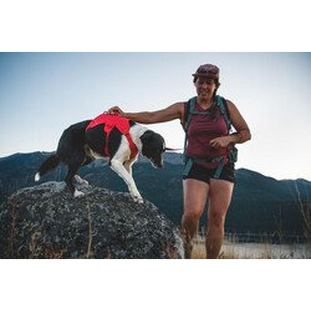 Ruffwear Web Master Harness - Red