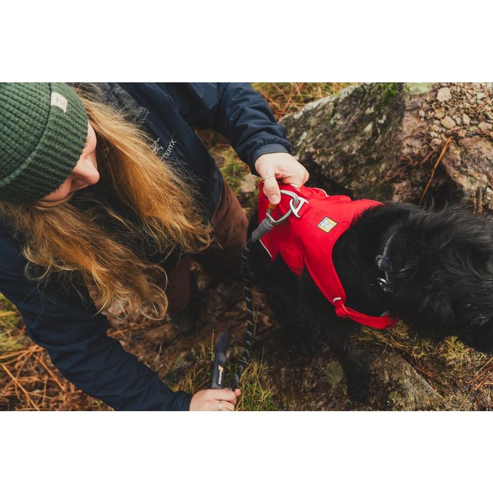 Ruffwear Web Master Harness - Red