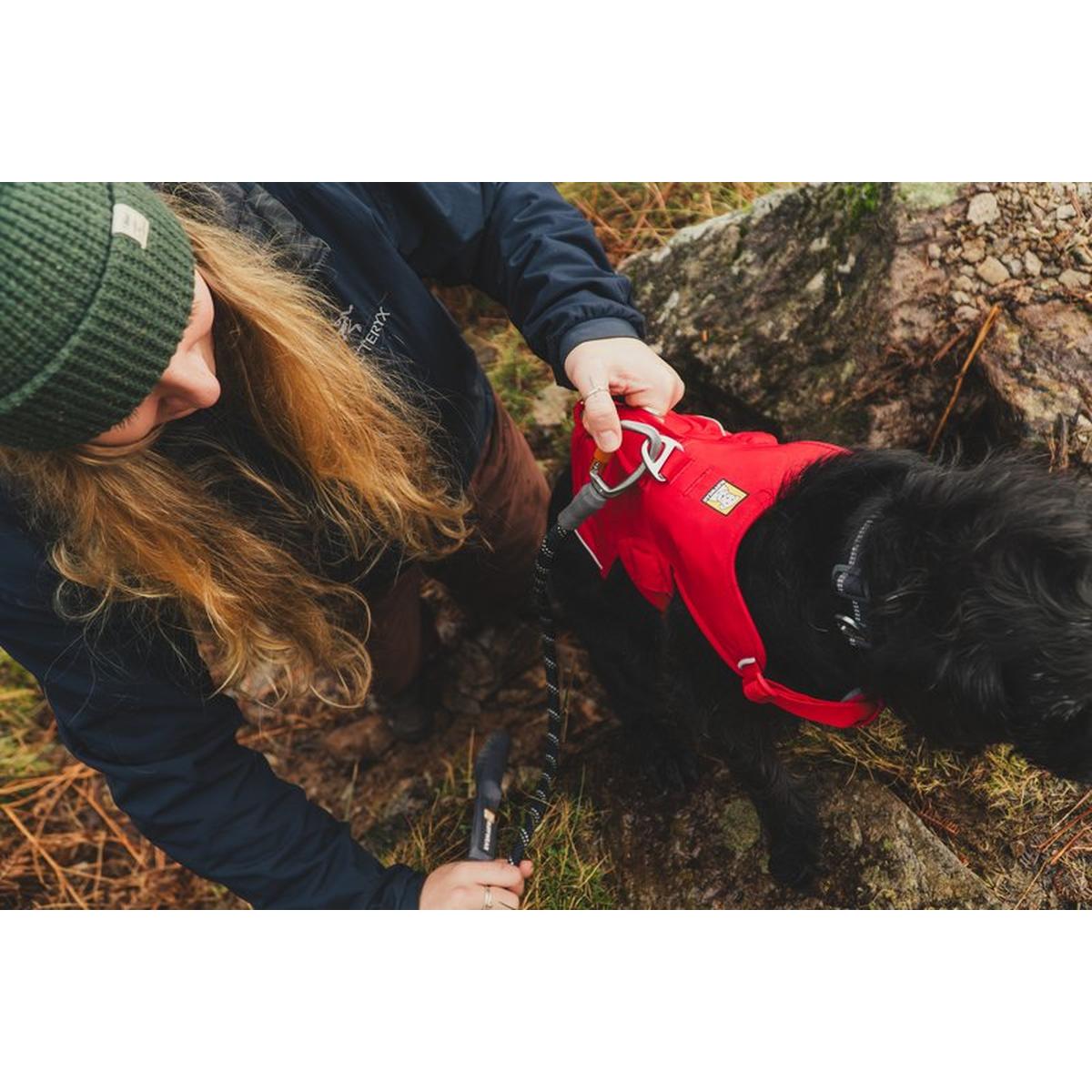 Ruffwear Web Master Harness - Red