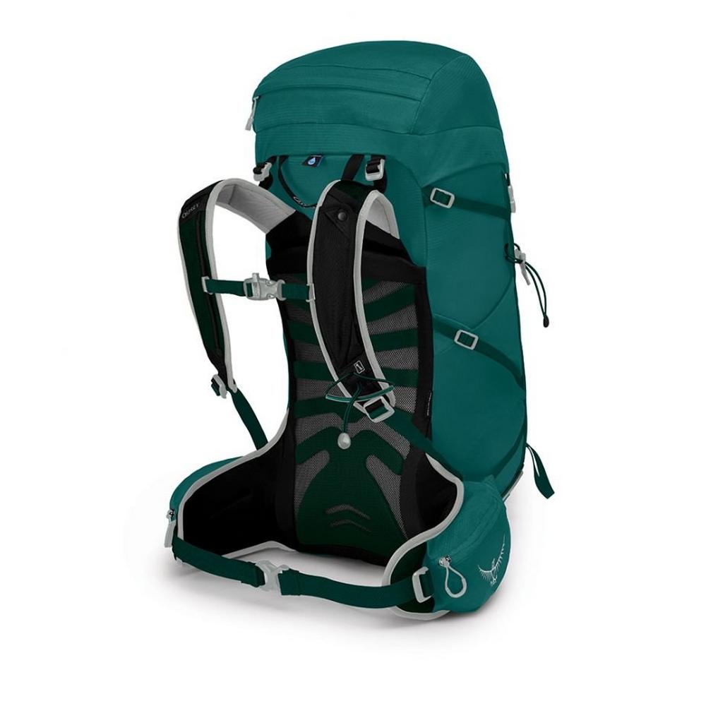 Osprey tempest shop 30 lucent green