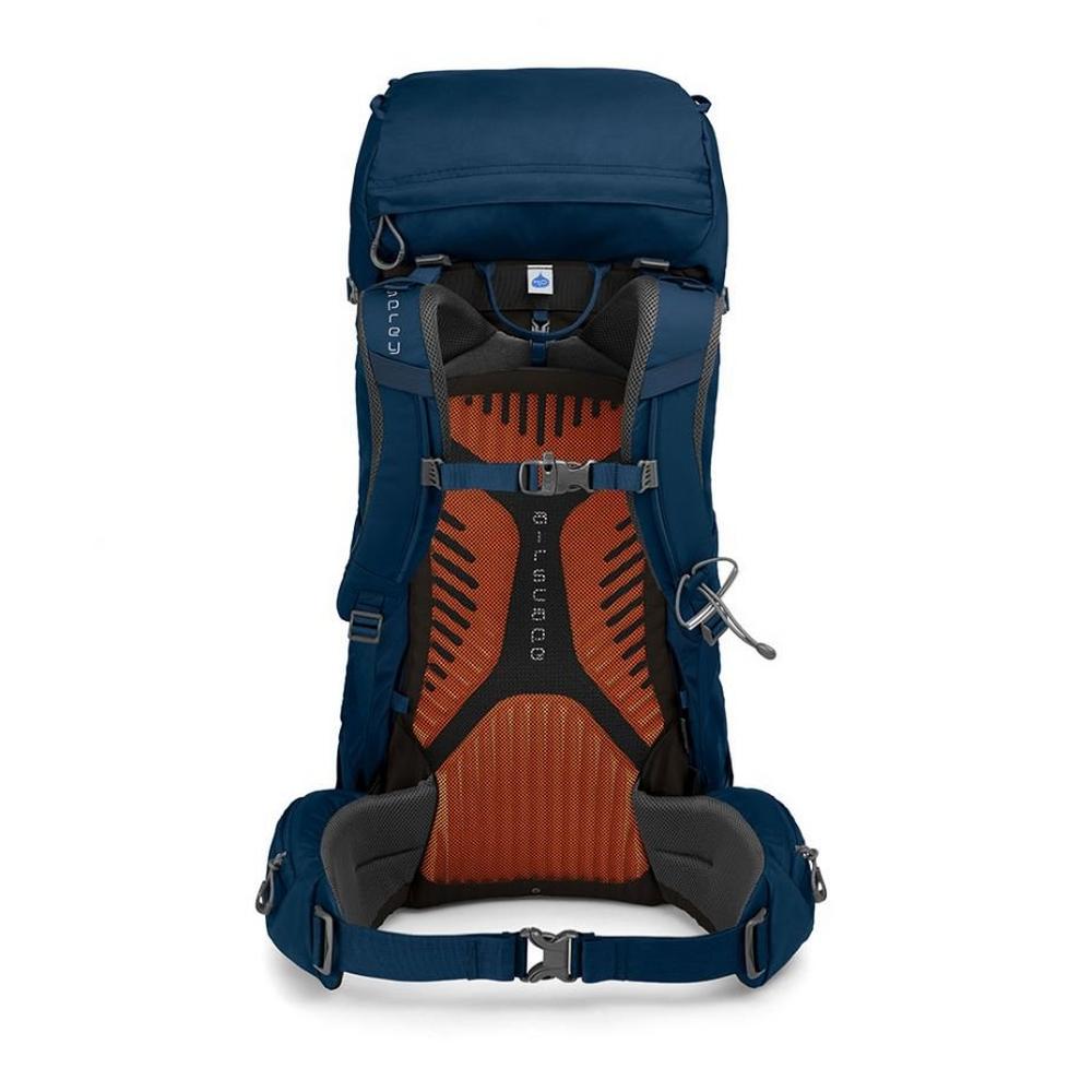 Osprey kestrel 38 l best sale