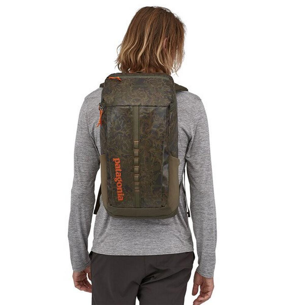 Patagonia black hole pack best sale 25l black