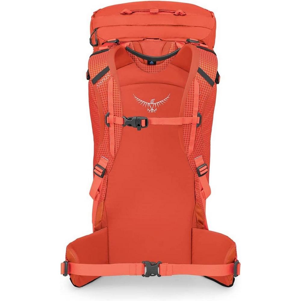 Osprey kestrel clearance 38 dragon red