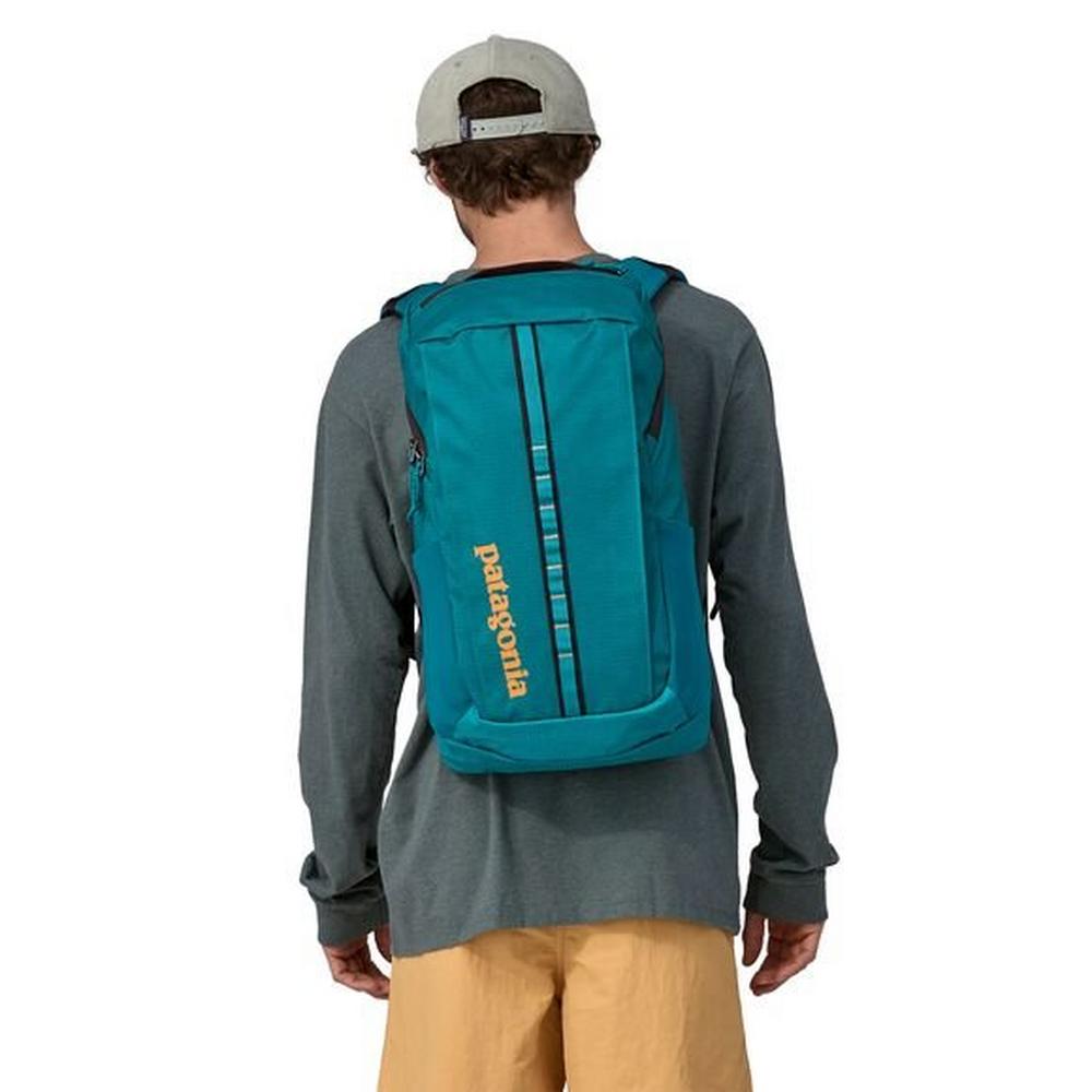 Patagonia cheap buckled backpack