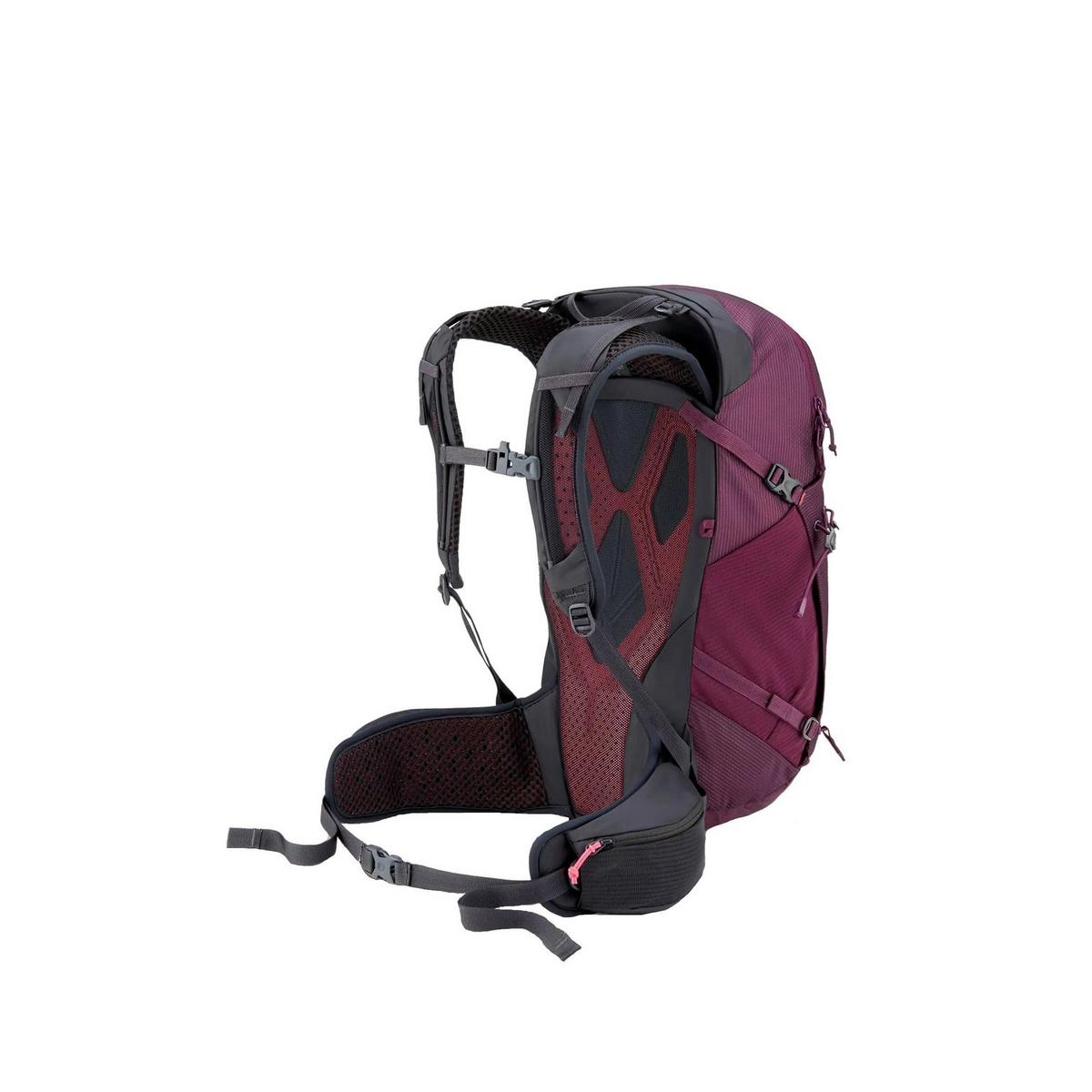 Rab Protium ND 25L Daypack - Mulberry
