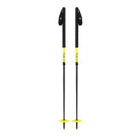  Duos Freebird Ski Poles