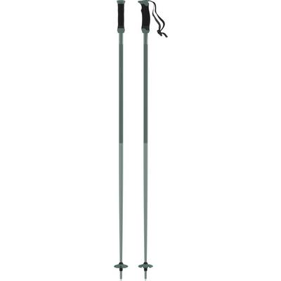 Atomic AMT SQS Ski Pole - Green