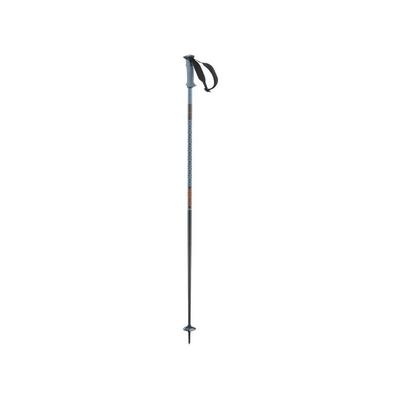 Salomon Men's Polar Pro Pole - Blue