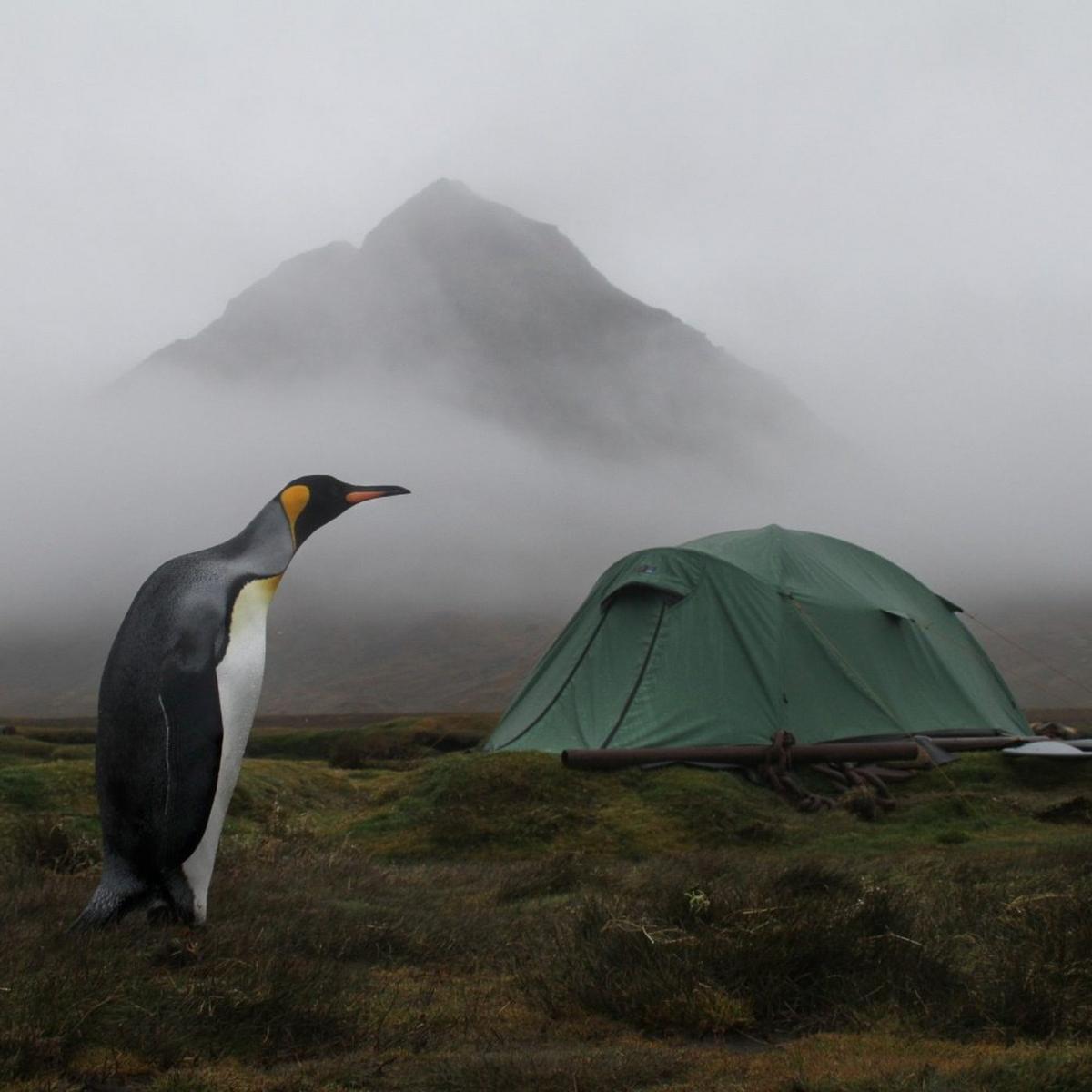 Terra Nova Quasar | Two Person Tent