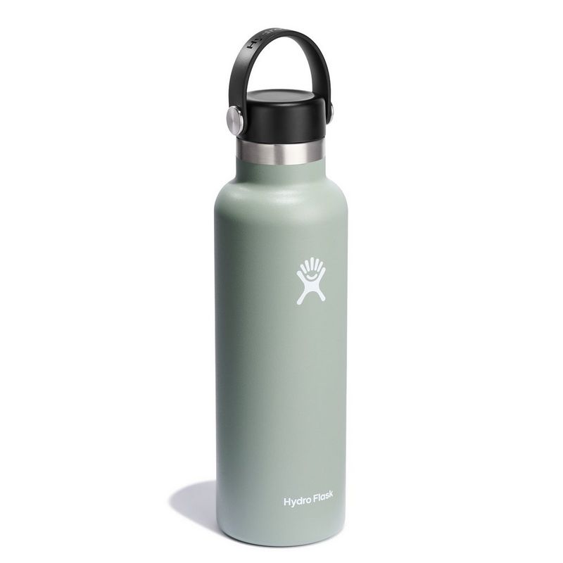 21oz Standard Mouth Water Bottle Agave Green