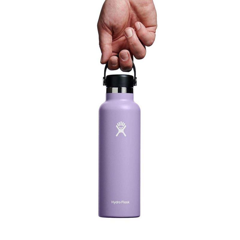 Hydro Flask 21oz Standard Mouth Water Bottle Purple Tiso