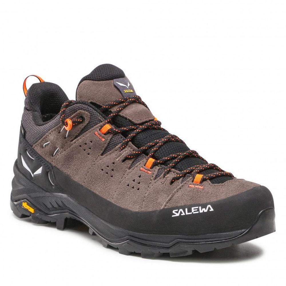 Salewa Men's Alp Trainer 2 GTX | Walking Shoes | George