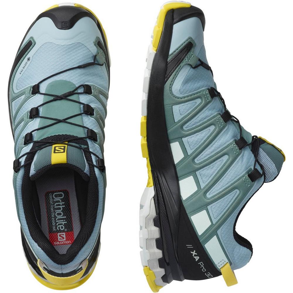 Salomon XA Pro 3D V8 | Running Shoes | Fisher UK