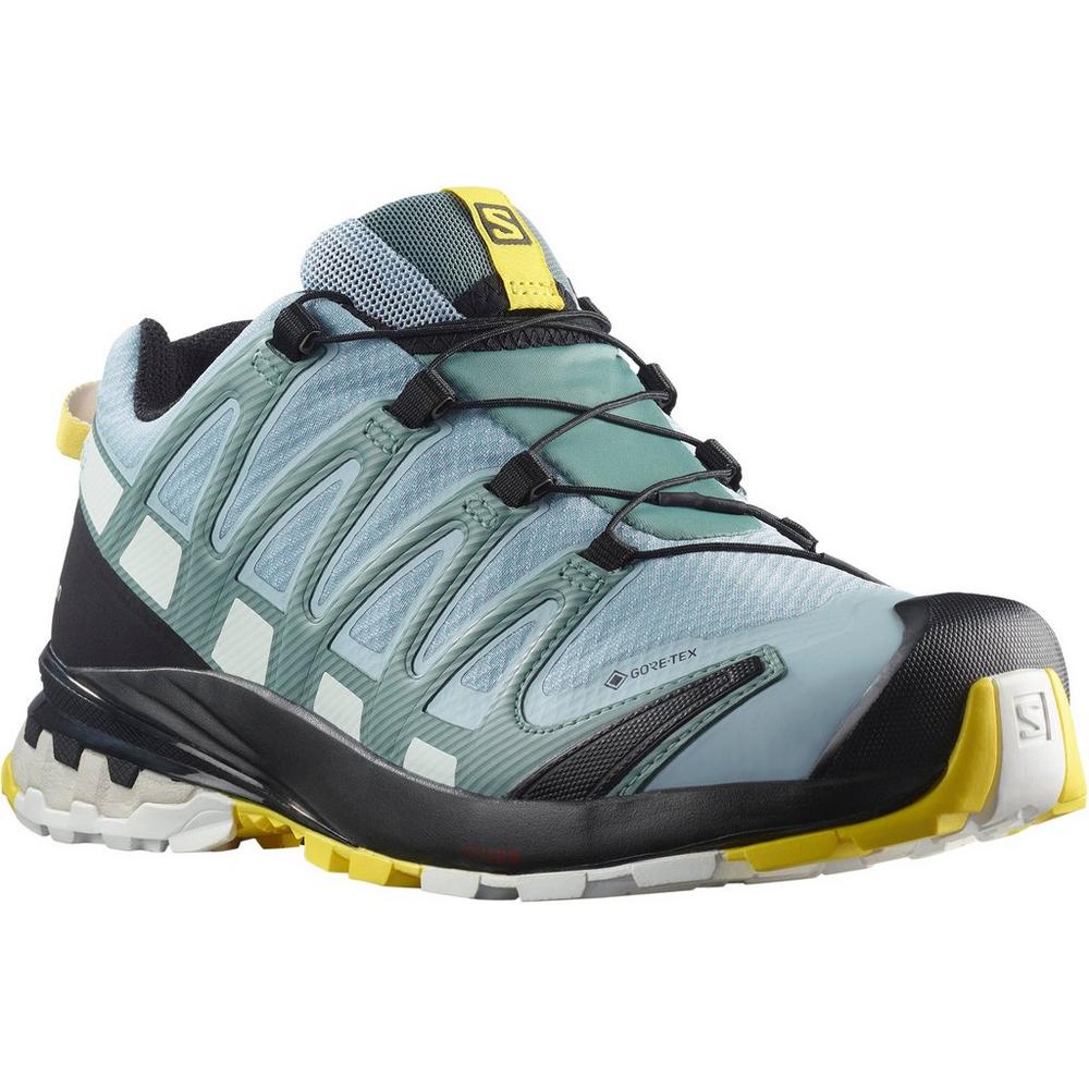 Salomon Women s XA Pro 3D V8 GTX Running Shoes George Fisher UK