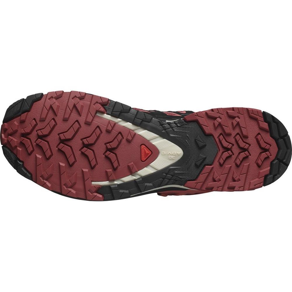 Salomon trail 2024 runner ws