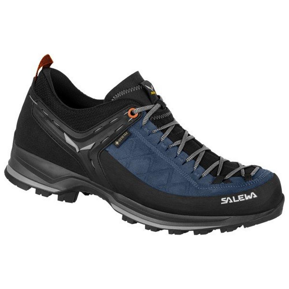 Salewa Men's Mountain Trainer 2 Gore-Tex - Blue