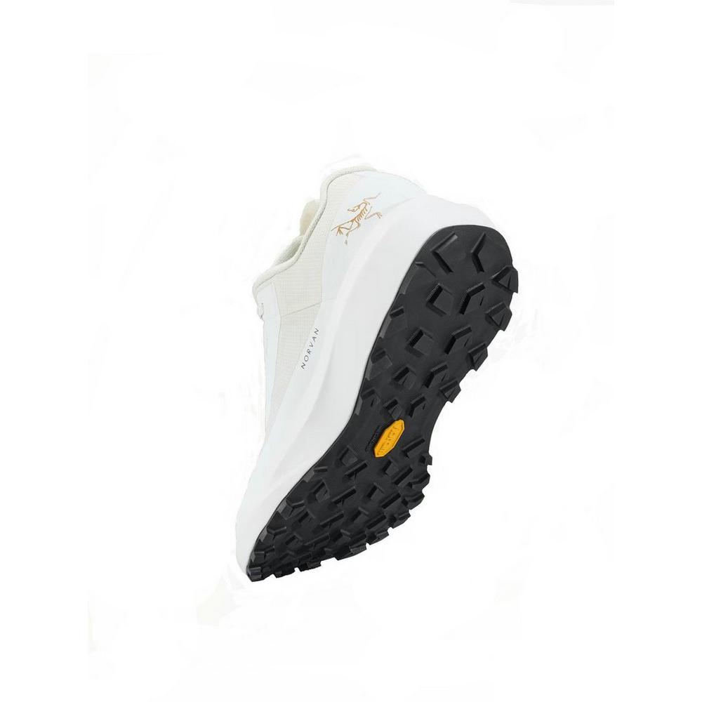 Arc'teryx Women's Norvan Long Distance 4 GORE-TEX Trail Running Shoes - Arctic Silk