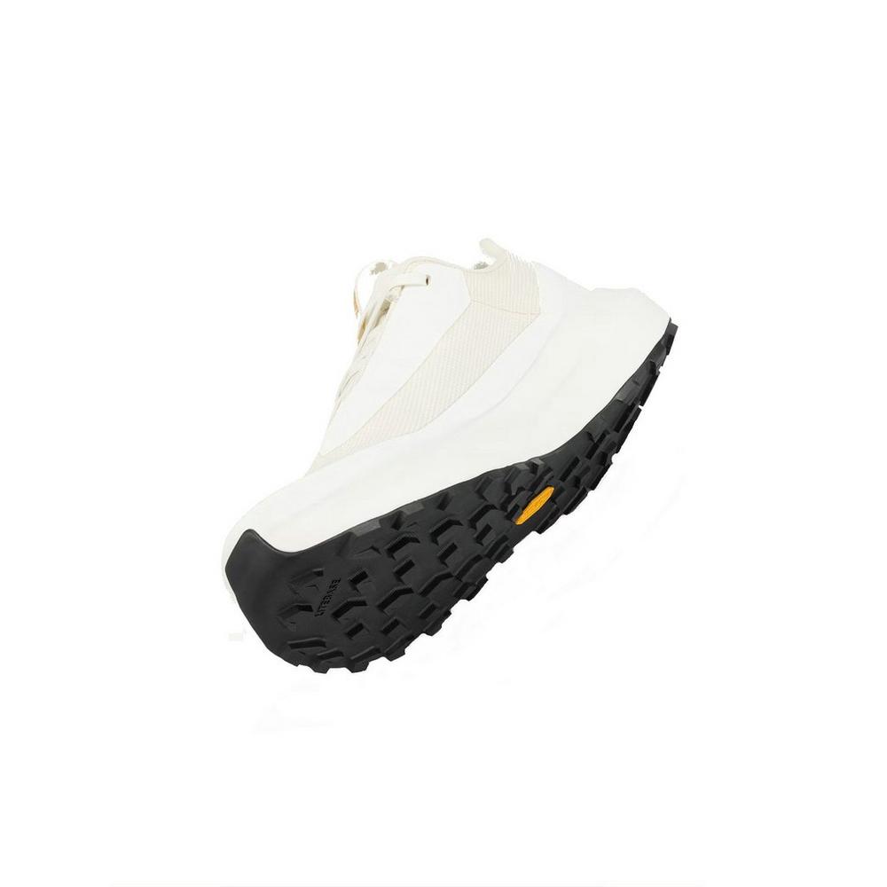 Arc'teryx Women's Norvan Long Distance 4 GORE-TEX Trail Running Shoes - Arctic Silk