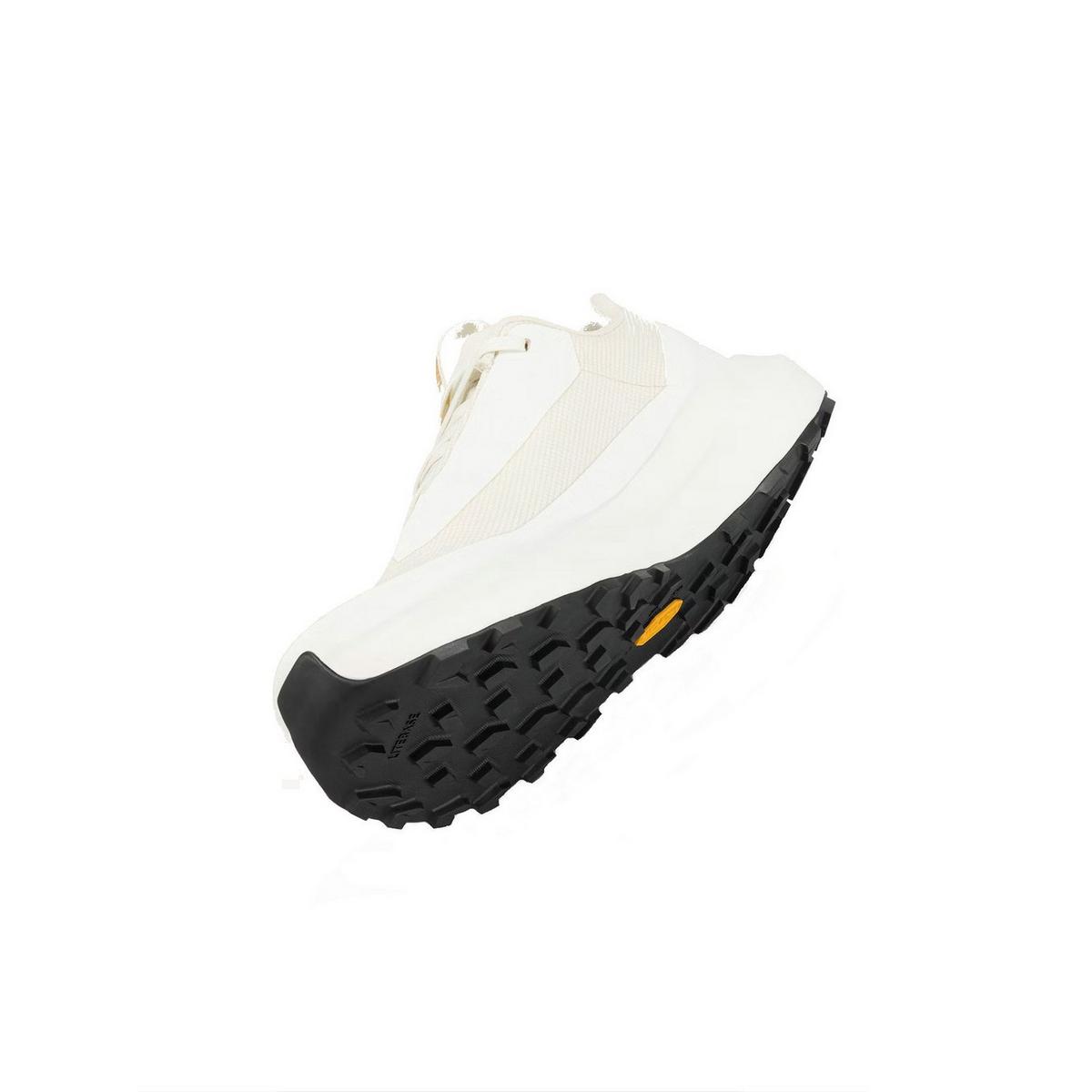 Arc'teryx Women's Norvan Long Distance 4 GORE-TEX Trail Running Shoes - Arctic Silk