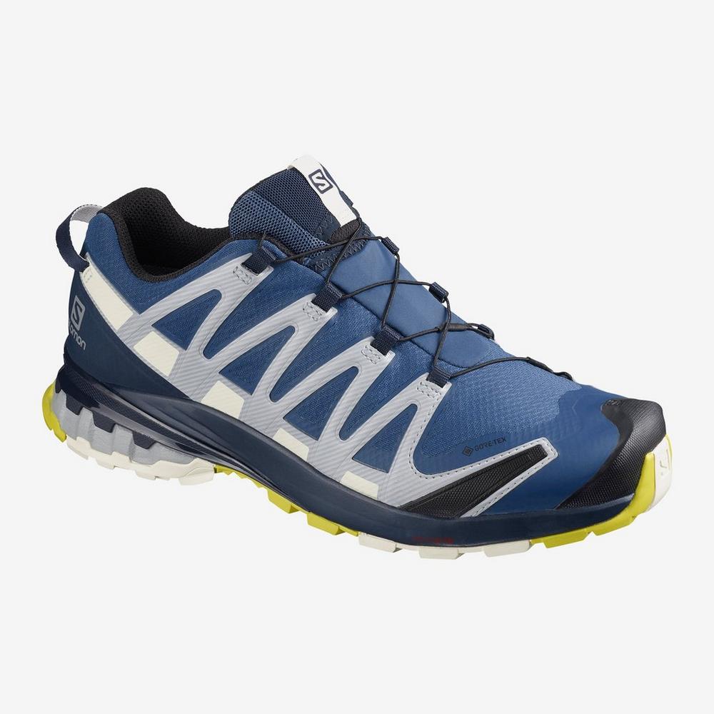 salomon men's xa pro 3d v8 trail running shoes blue