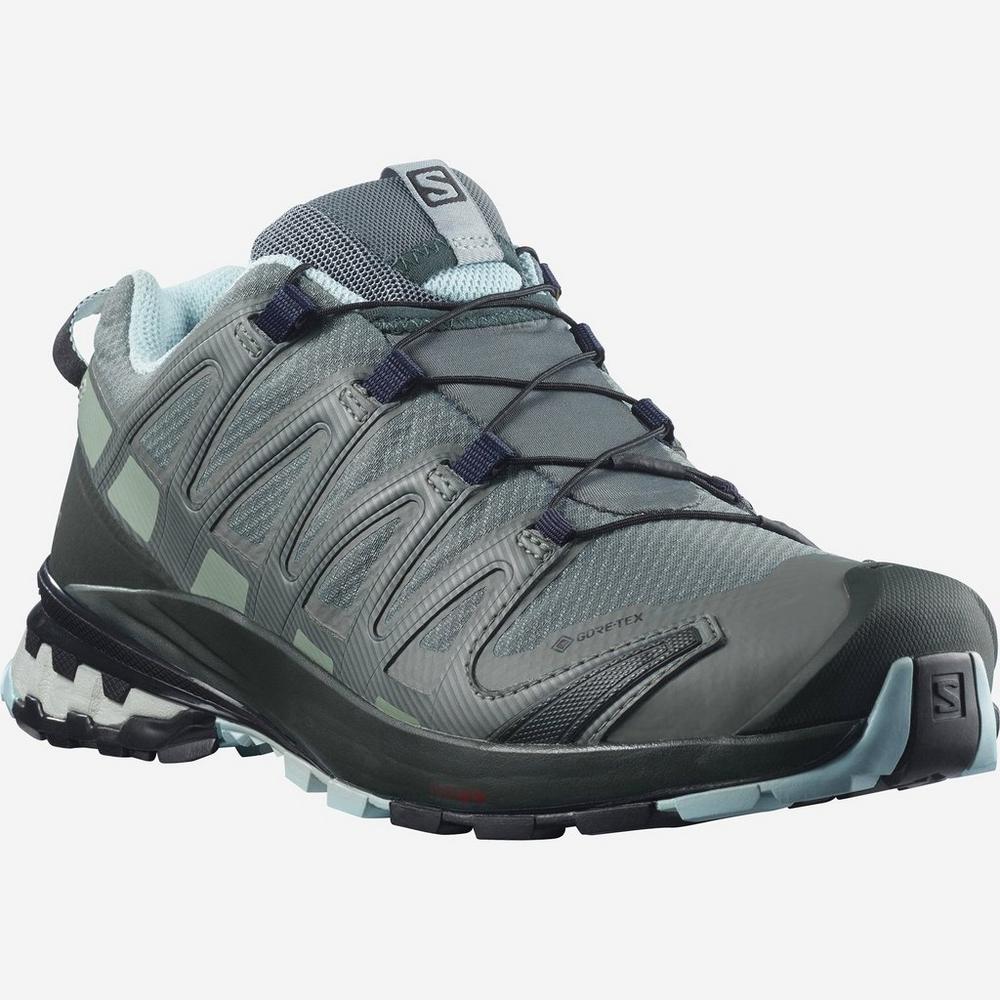 Women's XA Pro 3D V8 GTX | Waterproof Walking Shoes | George Fisher UK